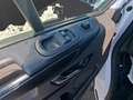 Ford Transit Custom Custom 2,0 EcoBlue 170 PS Kasten Trend 300L1 Weiß - thumbnail 11