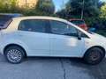 Fiat Punto Evo 5p 1.4 natural power Active 70cv bijela - thumbnail 2