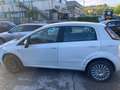 Fiat Punto Evo 5p 1.4 natural power Active 70cv bijela - thumbnail 4