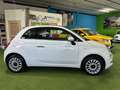 Fiat 500C 1.2 Lounge 69cv Neopatentati ok !!! Bianco - thumbnail 7