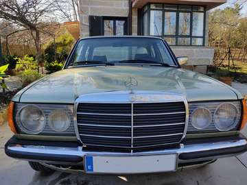 300 Diesel W 123