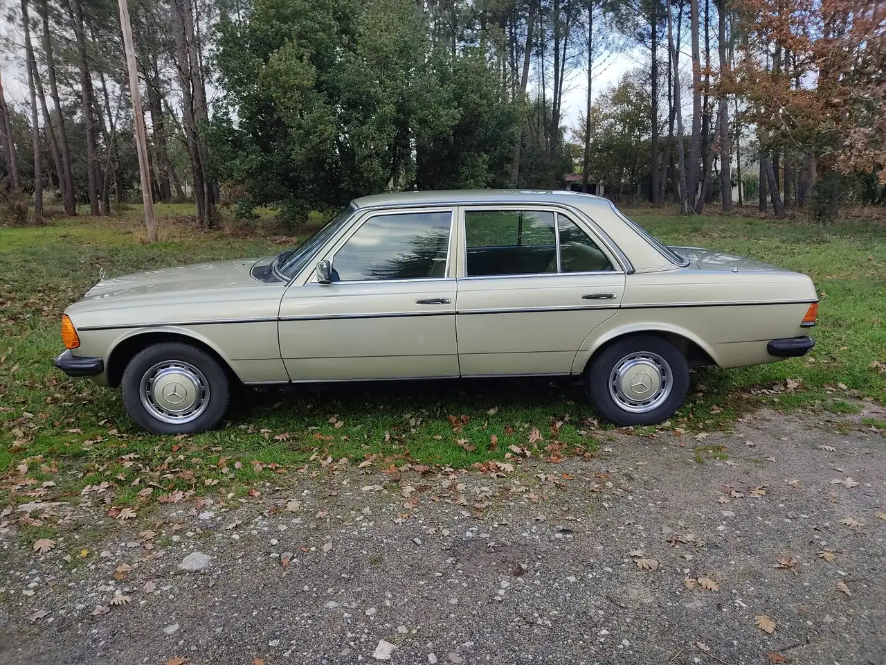 Mercedes-Benz 300 Diesel W 123, foto 6