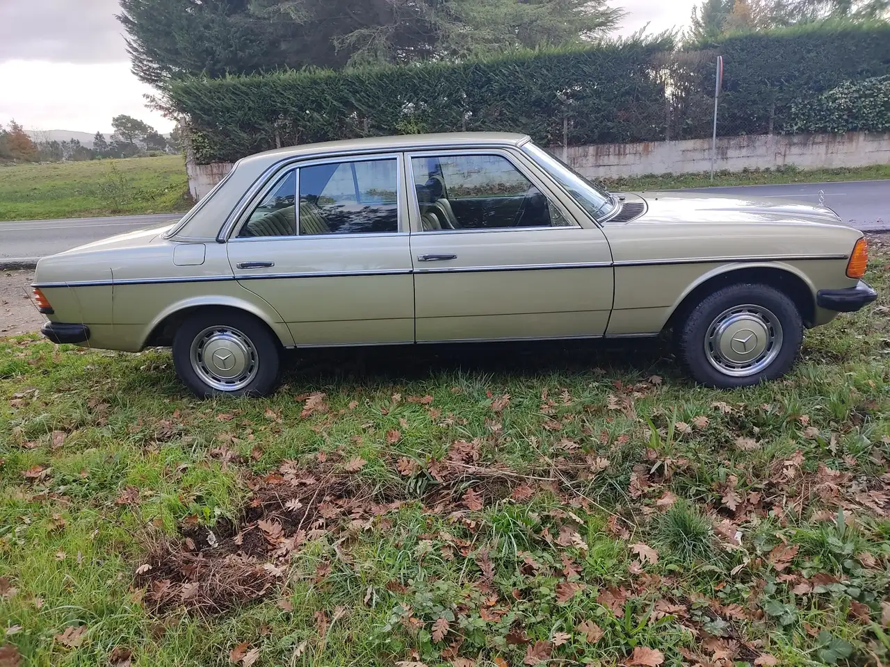 Mercedes-Benz 300 Diesel W 123, foto 5