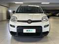 Fiat Panda 1.0 FireFly 70cv S&S Hybrid City Life Blanc - thumbnail 6