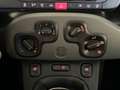 Fiat Panda 1.0 FireFly 70cv S&S Hybrid City Life Blanc - thumbnail 17