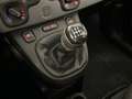 Fiat Panda 1.0 FireFly 70cv S&S Hybrid City Life Blanc - thumbnail 19