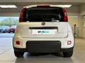 Fiat Panda 1.0 FireFly 70cv S&S Hybrid City Life Blanc - thumbnail 4