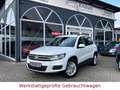 Volkswagen Tiguan 2.0 TDI Trend & Fun*Sitzhei*Navi*PDC*AHK* Blanc - thumbnail 9