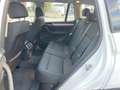 BMW Bianco - thumbnail 15
