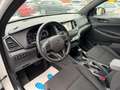Hyundai TUCSON AHK/NAVI/KAMERA/ALLRAD/SHZ/PDC Weiß - thumbnail 12