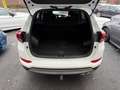 Hyundai TUCSON AHK/NAVI/KAMERA/ALLRAD/SHZ/PDC Weiß - thumbnail 10