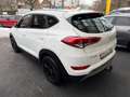 Hyundai TUCSON AHK/NAVI/KAMERA/ALLRAD/SHZ/PDC Weiß - thumbnail 6