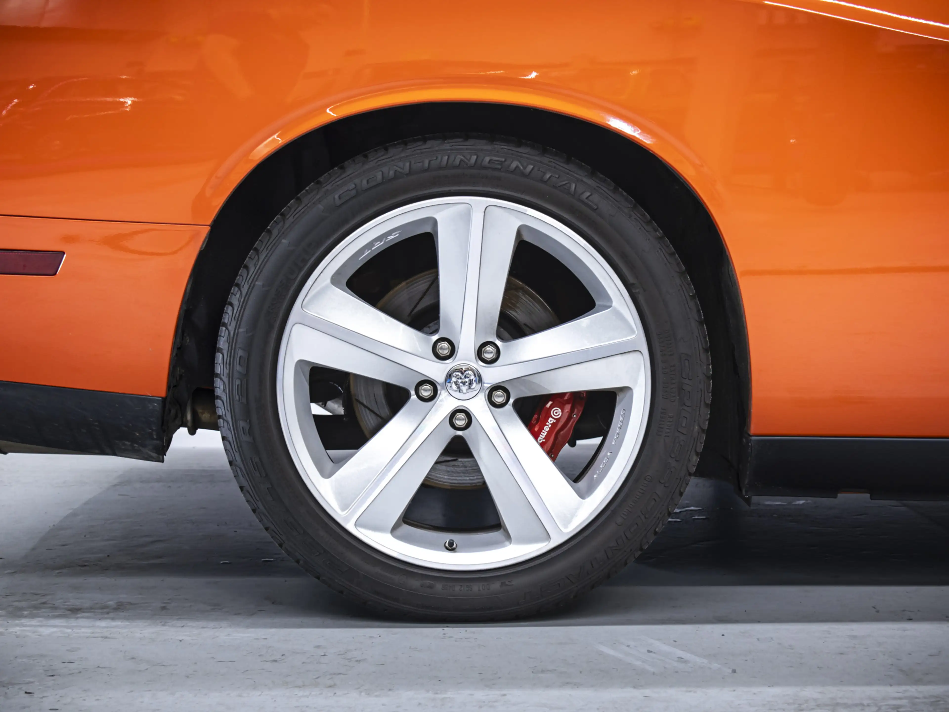 Dodge Challenger | SRT-8 First edition | 6.1L V8 — photo 6