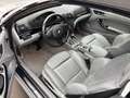 BMW 330 Baureihe 3 Cabrio 330 Ci Argento - thumbnail 10