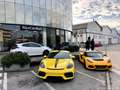 Porsche 718 GT4 4.0 PDK o Manuale IN SEDE Жовтий - thumbnail 3
