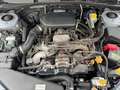 Subaru OUTBACK 2.5i Comfort CLIMA PANIRAMA RIJDT GOED NAP APK 10- Grau - thumbnail 33