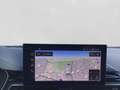 Audi RS4 RS4 Avant TFSI Q MATRIX LM20 NAVI+ KAMERA Gris - thumbnail 14