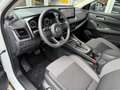 Nissan Qashqai 1.3 MHEV Xtronic N-Connecta 158PK / NAVIGATIE / 36 Wit - thumbnail 7