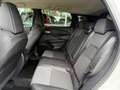 Nissan Qashqai 1.3 MHEV Xtronic N-Connecta 158PK / NAVIGATIE / 36 Wit - thumbnail 9