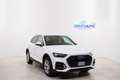 Audi Q5 40 TDI 204cv QUATTRO S-TRONIC BUSINESS *XENON* Bianco - thumbnail 1