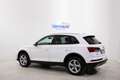 Audi Q5 40 TDI 204cv QUATTRO S-TRONIC BUSINESS *XENON* Blanc - thumbnail 5