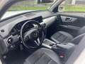 Mercedes-Benz GLK 220 cdi be Sport 4matic auto my11 - thumbnail 10