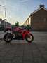 Honda CBR 1000 Rosso - thumbnail 4