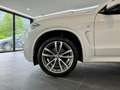 BMW X5 X5 xDrive30d Aut.///M-SPORTPAKET*SOFT CLOSE*DRI... White - thumbnail 10