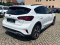 Ford Focus 1.0 EcoBoost MHEV Active*NAVI*iACC*KAMERA Weiß - thumbnail 7