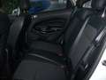Ford EcoSport 1.5 ecoblue 100CV Titanium Plus Bianco - thumbnail 6
