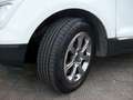 Ford EcoSport 1.5 ecoblue 100CV Titanium Plus Bianco - thumbnail 15