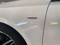Mercedes-Benz A 180 Automatic EDITION PACCHETTO AMG Bianco - thumbnail 5