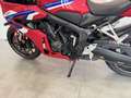Honda CBR 650 CBR 650 R  E-Clutch - YM 2024 - thumbnail 16