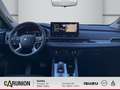 Mitsubishi Outlander 2.4 Plug-in Hybrid Top DACH/LEDER Rot - thumbnail 9