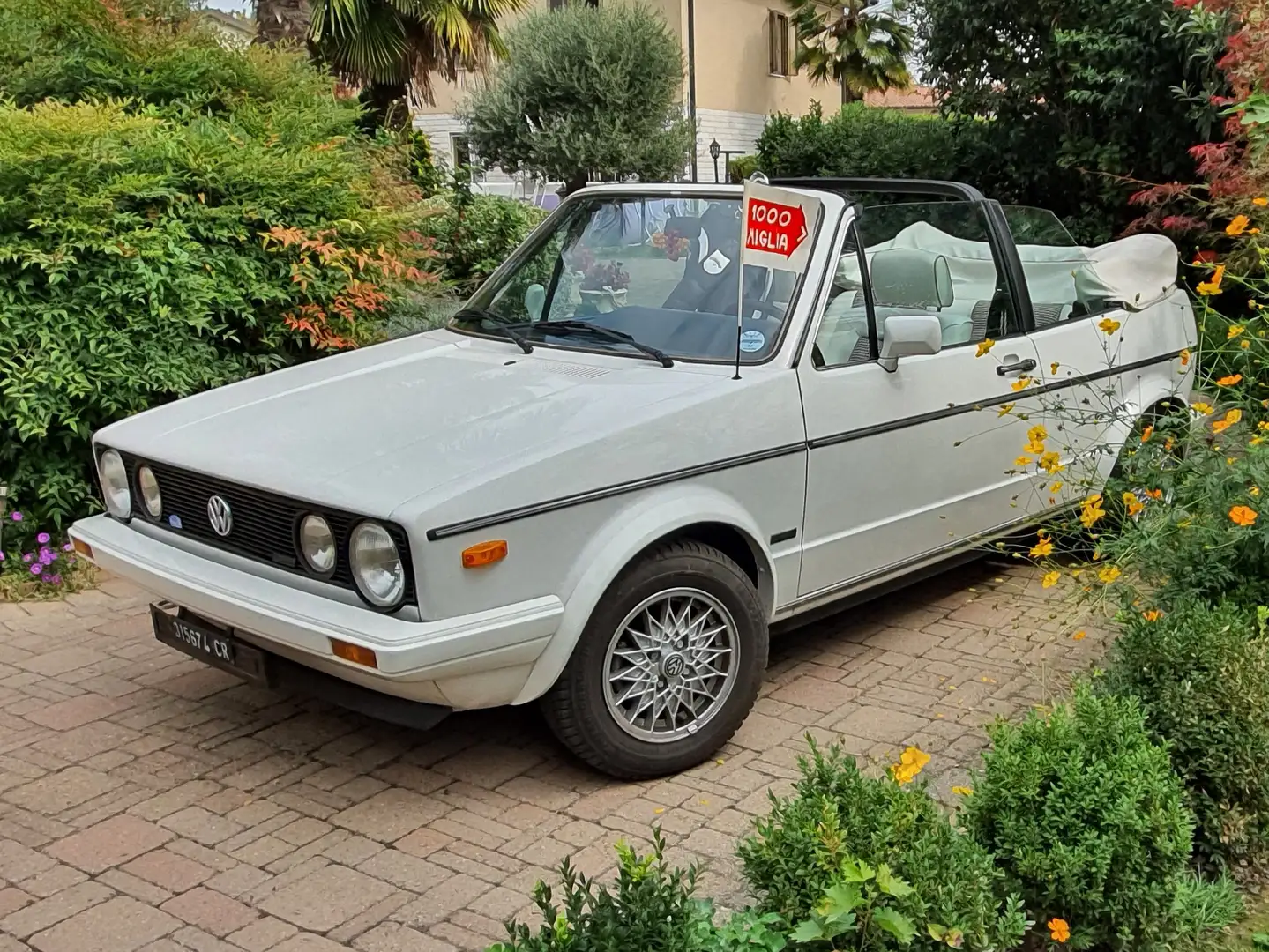 Volkswagen Golf Cabriolet Golf+Cabrio+1.5+GLS Alb - 1