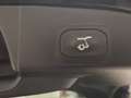 Ford Focus Turnier 1,0 EcoBoost Hybrid Active Aut. Schwarz - thumbnail 7