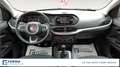 Fiat Tipo 5 Porte 1.4  Easy Beige - thumbnail 10