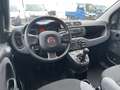 Fiat Panda Panda III 2021 1.0 firefly hybrid  PREZZO REALE Grigio - thumbnail 8