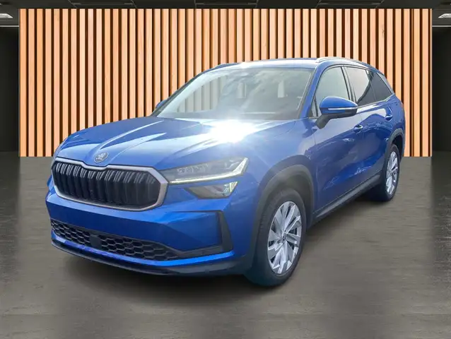 Skoda Kodiaq view 2