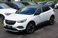Opel Grandland X Ultimate*LEDER*PANO*AHK*KAM*MEMORY Blanco - thumbnail 1