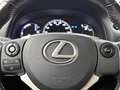 Lexus CT 200h Business Line | Navigatie | Parkeersensoren | Afne Grau - thumbnail 17