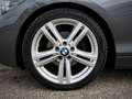 BMW 120 i M-PAKET SHADOW DIGITAL-TACHO,NAVI,TEMPO,LED Gris - thumbnail 15