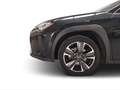 Lexus UX 250h Premium 2WD Schwarz - thumbnail 10