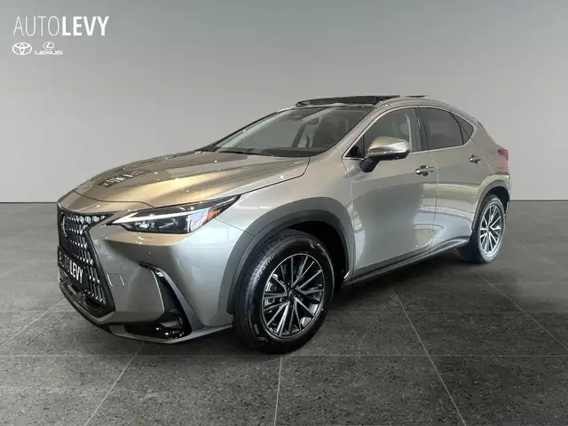 Lexus NX view 2