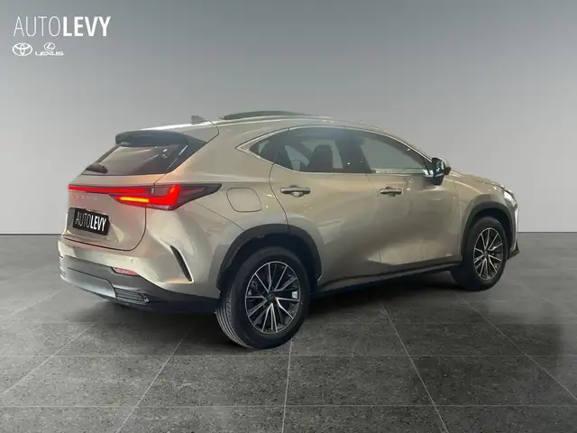 Lexus NX view 6