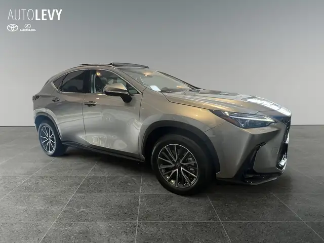 Lexus NX view 8