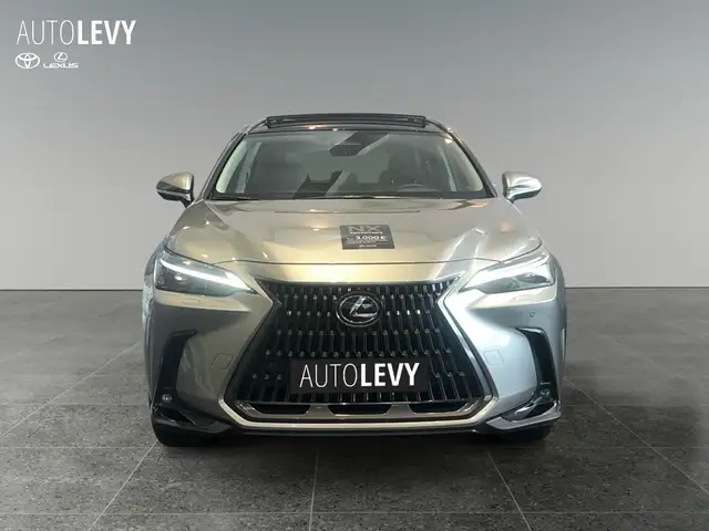 Lexus NX view 9