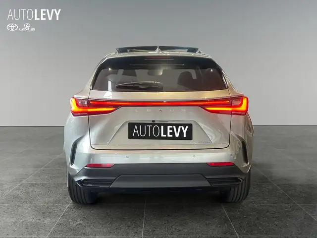 Lexus NX view 5