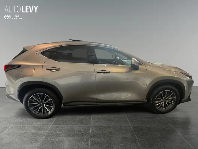 Lexus NX view 7