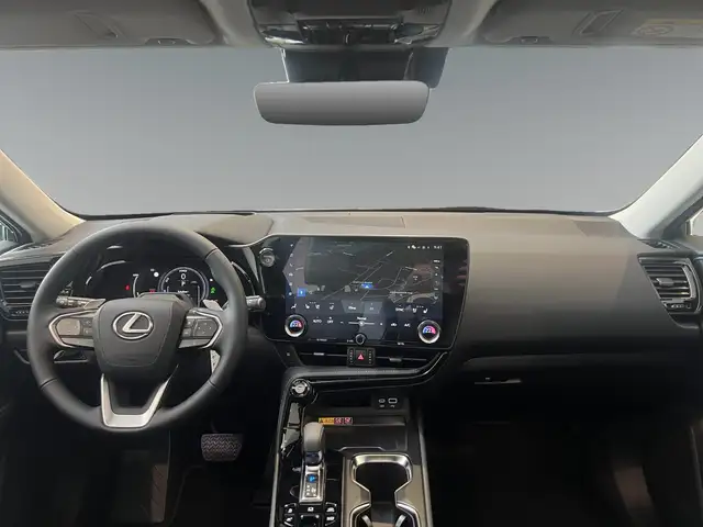 Lexus NX view 11